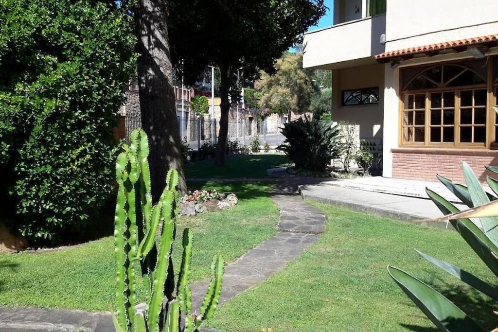 Somriu Apartament Fenals Platja 滨海略雷特 外观 照片